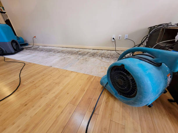 Professional Basement Flood Cleanup technician working in Weston, WI